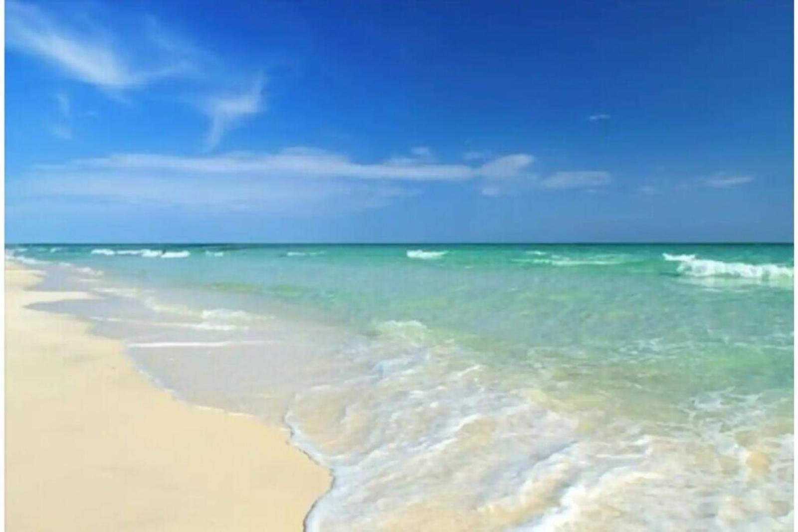 Beachfront Getaway In Siesta Key Buitenkant foto